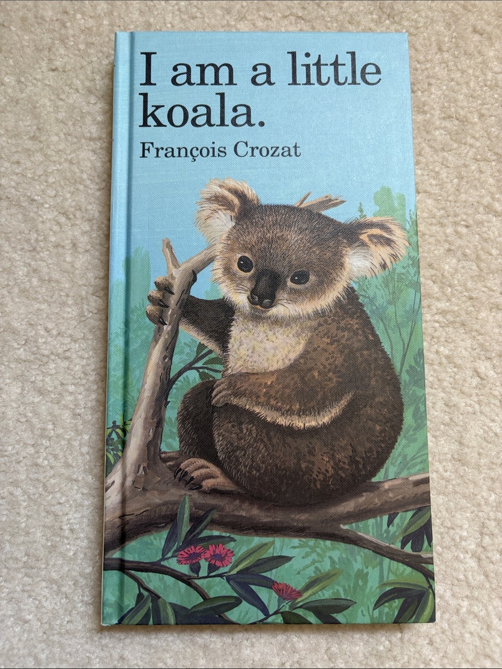 I Am a Little Koala Hardcover Book - Blue Cover